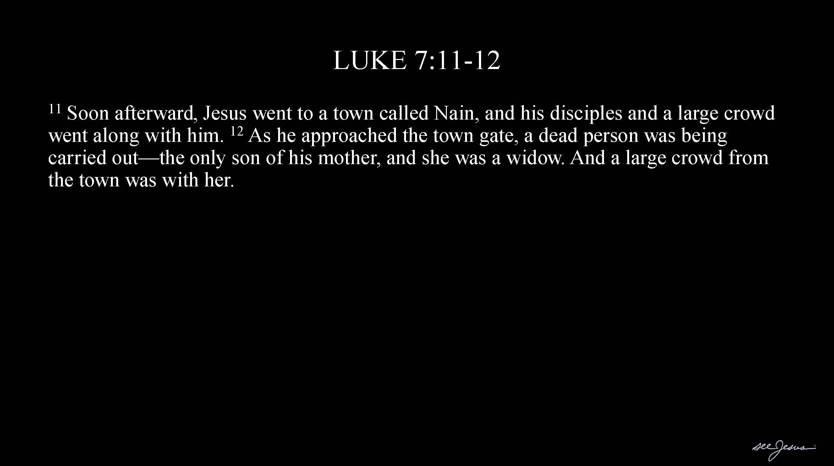 Person of Jesus, Unit 1: Compassion Leader&