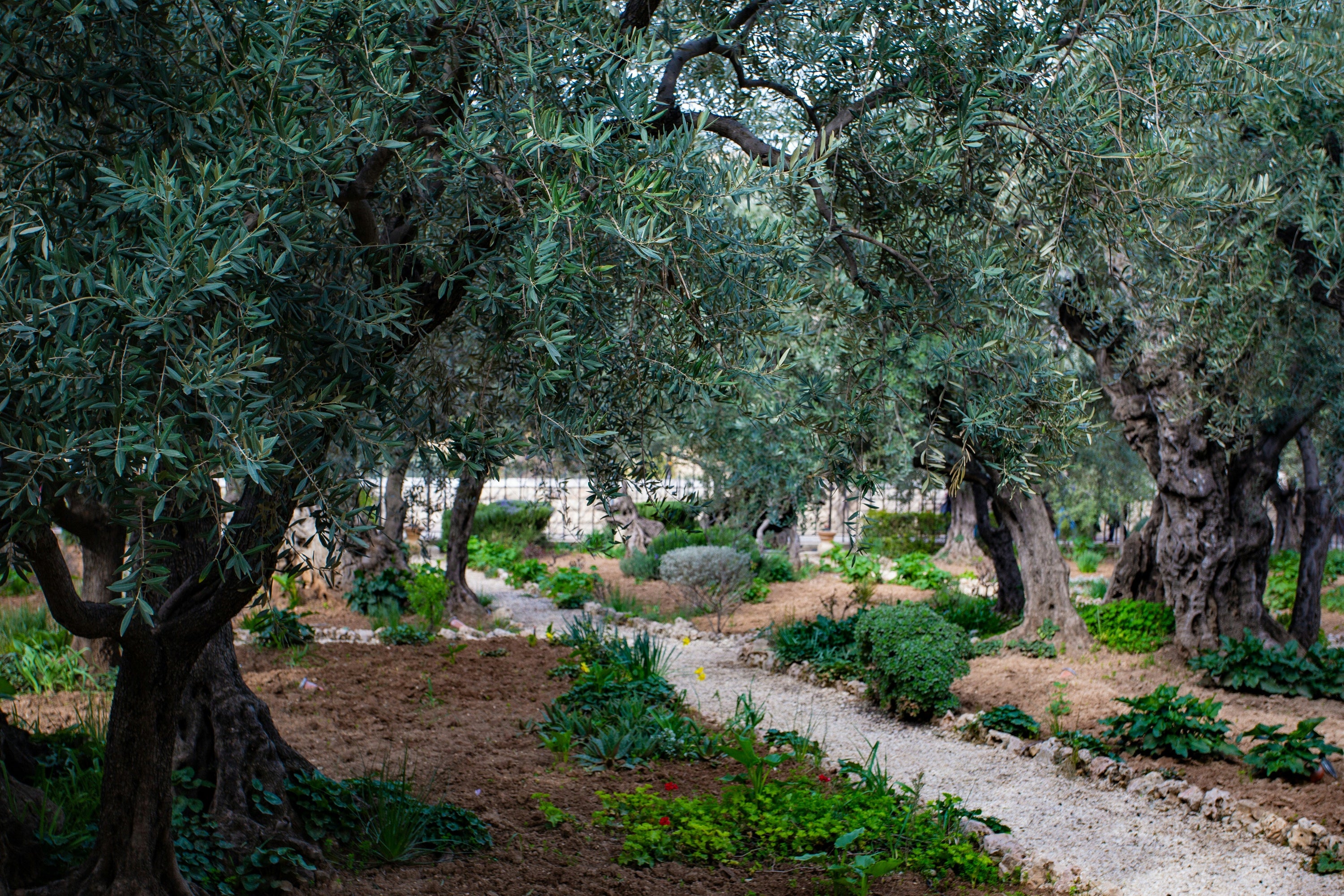 Gethsemane