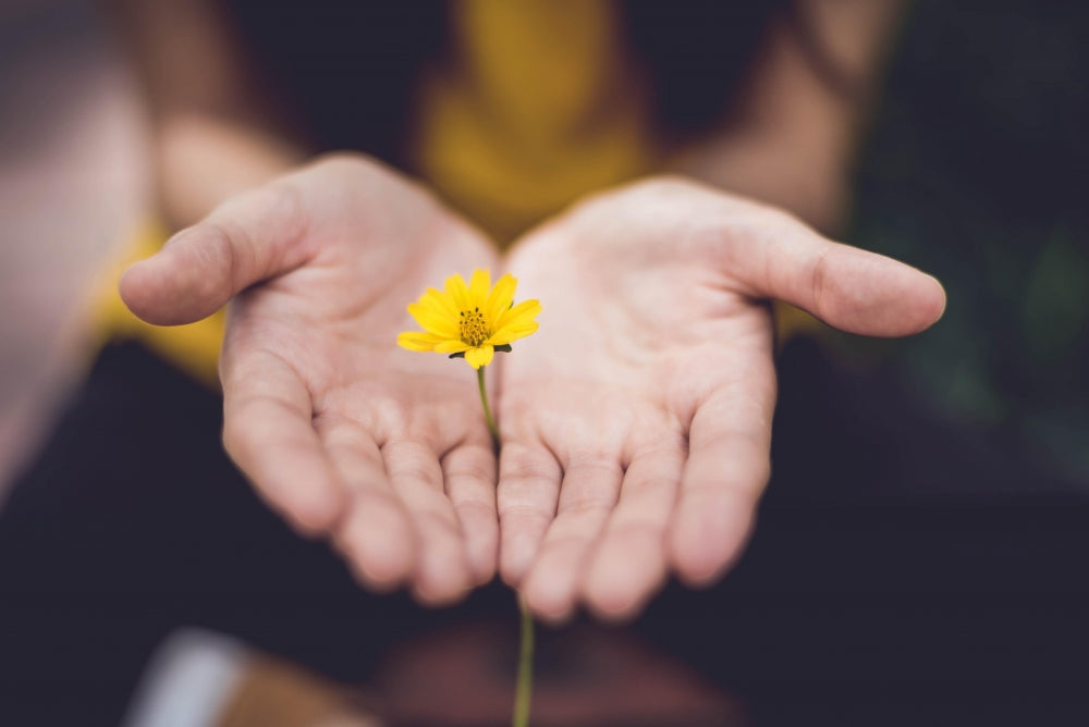 Jesus’ Gift of Honesty