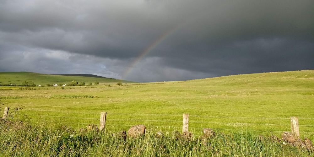 On Knowing Christ and the Power of His Resurrection